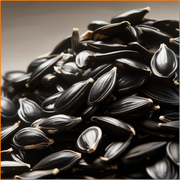 ZHOKK ORGANIC SUNFLOWER SEEDS