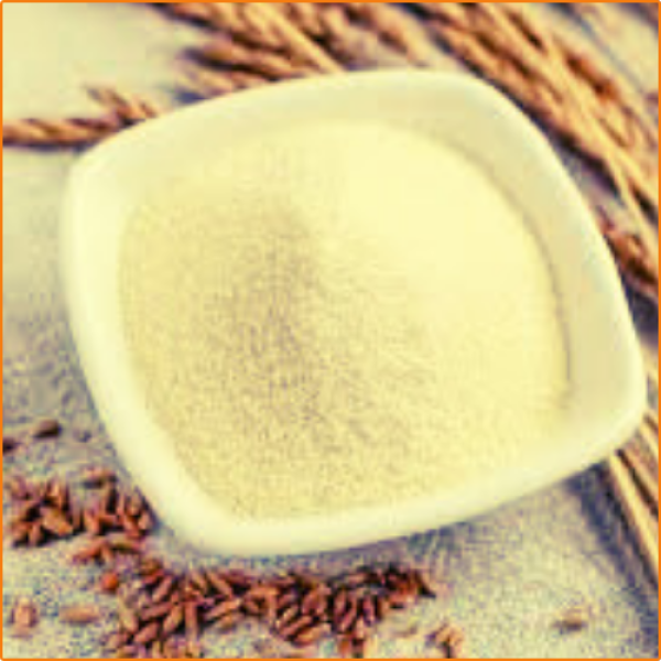 ZHOKK DURUM WHEAT SEED