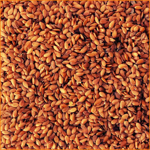 ZHOKK ORGANIC FLAXSEED