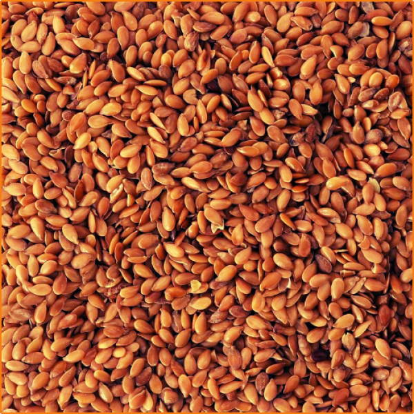 ZHOKK ORGANIC FLAXSEED