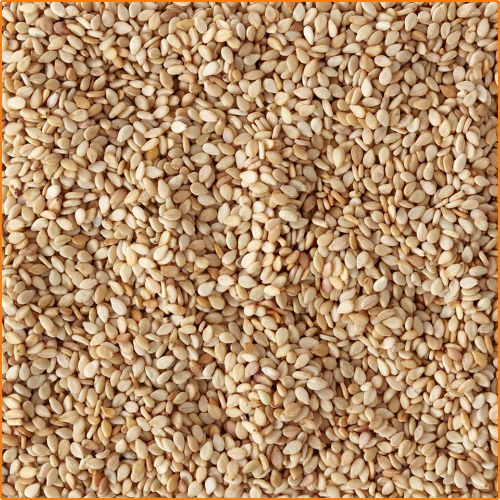 ZHOKK ORGANIC SESAME SEEDS