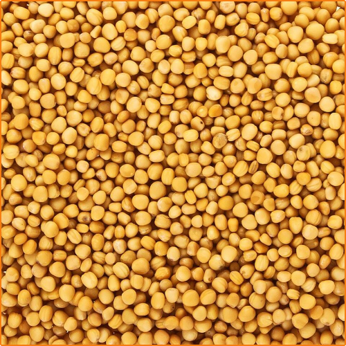 ZHOKK ORGANIC MUSTARD SEEDS