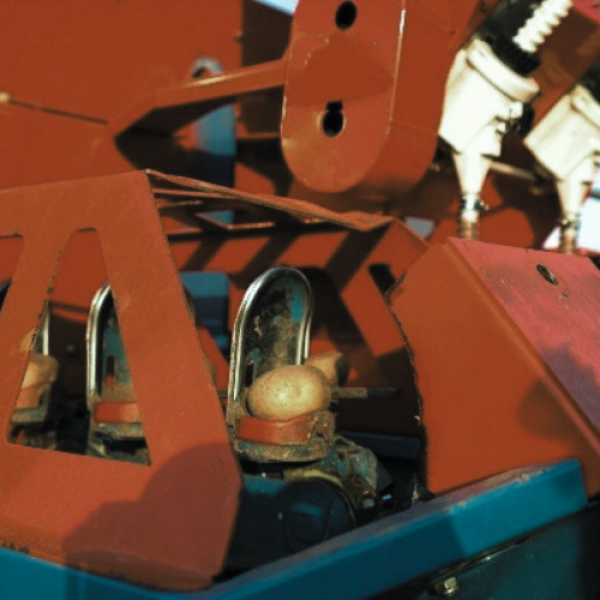 POTATO PLANTER MACHINE ZHOKK, SERIES CELESTINO